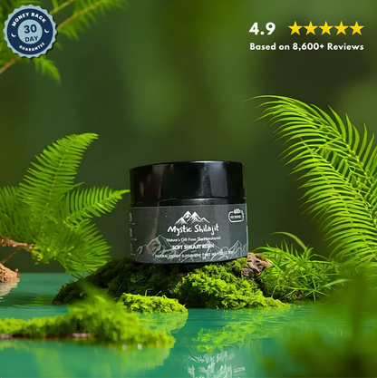 Pure Shilajit Resin (Buy 1 Get 1 Free Today Only)